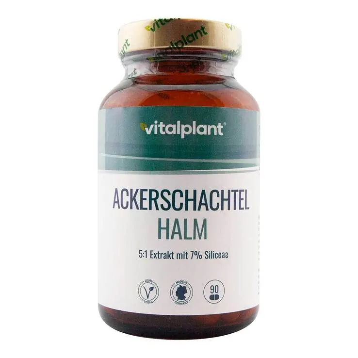 Ackerschachtelhalm 500 mg Extrakt Vitalplant Kapseln , 90 St
