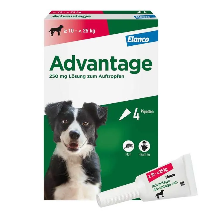 Advantage 250 für Hunde von 10-25 kg, 4 St