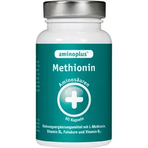 AMINOPLUSMethioninplusVitaminBKomplexKapseln60Stück