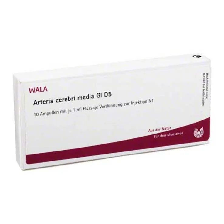Arteria Cerebri Media GL D 5 Ampullen, 10X1 ml