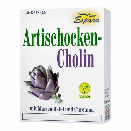Artischocken Cholin Kapseln, 60 St