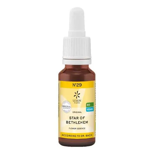 Bachblüten No.29 Star of Bethlehem Bio, 20 ml