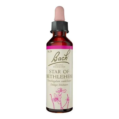 BACHBLÜTEN Original 29 Star of Bethlehem Tropfen, 10 ml