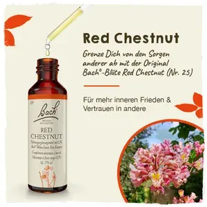 BACHBLÜTENRedChestnutTropfen20ml