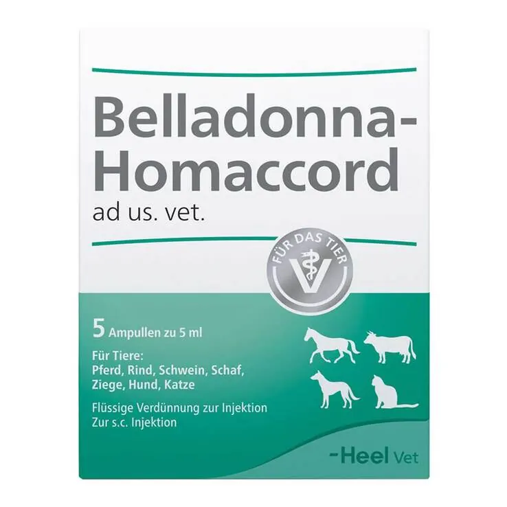 Belladonna Homaccord Ampullen vet. (für Tiere), 5 St