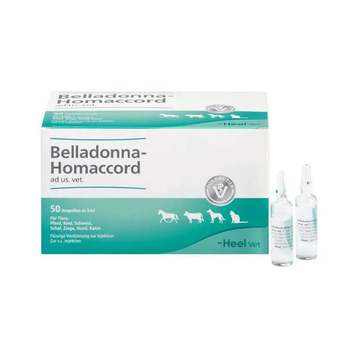 Belladonna Homaccord Ampullen vet. (für Tiere), 50 St