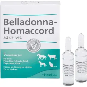 BELLADONNAHOMACCORDadus.vet.Ampullen5St