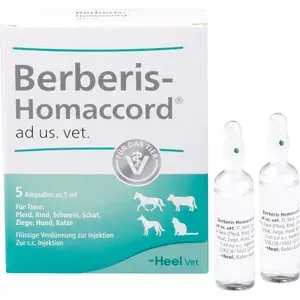 BERBERISHOMACCORDadus.vet.Ampullen5X5ml