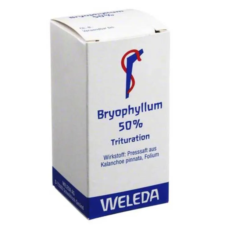 Bryophyllum 50% Pulver zum Einnehmen, 20 g