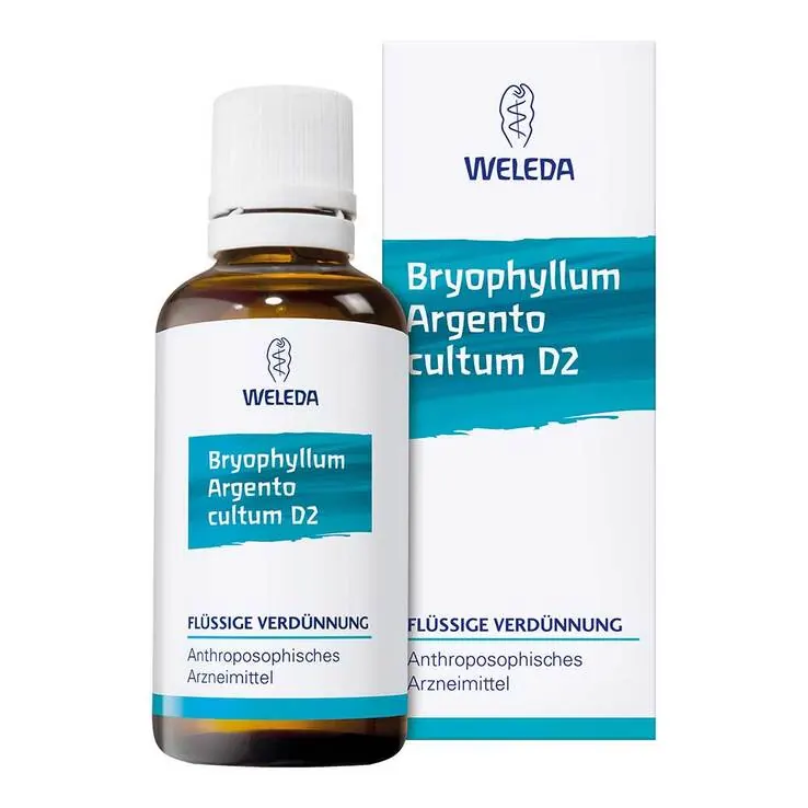 Bryophyllum Argento Cultum D3, 50 ml