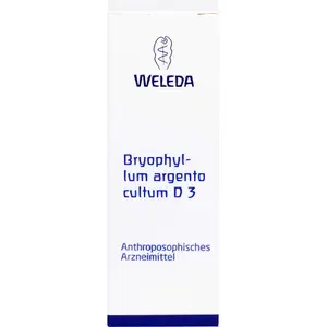 BRYOPHYLLUMARGENTOcultumD3Dilution50ml