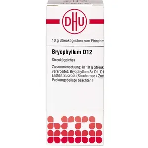 BRYOPHYLLUMD12Globuli10g