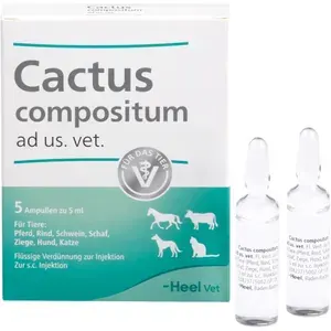 CACTUSCOMPOSITUMadus.vet.Ampullen5St