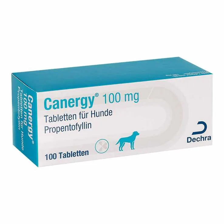Canergy 100 mg Tabletten für Hunde, 100 St
