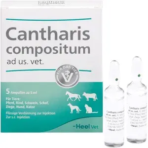 CANTHARISCOMPOSITUMadus.vet.Ampullen5St