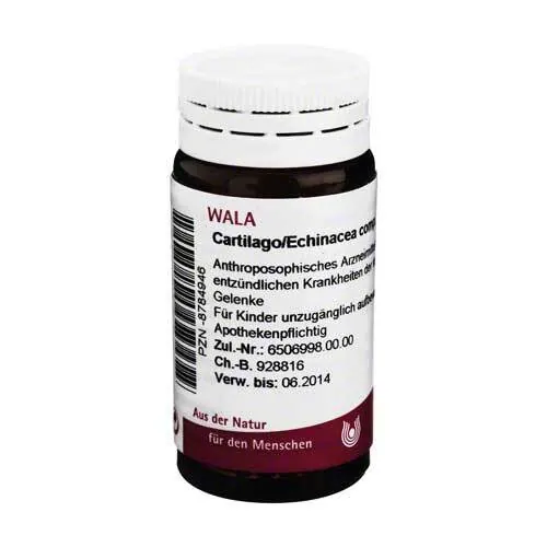 Cartilago / Echinacea comp.Globuli, 20 g