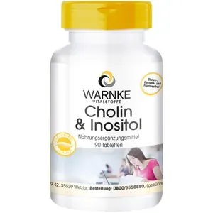 CHOLIN&INOSITOLTabletten90Stück
