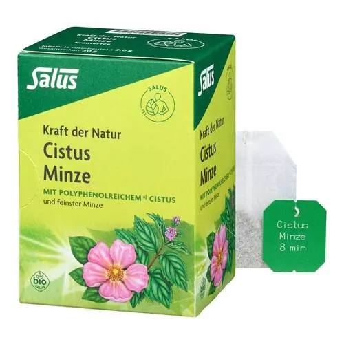 Cistus Minze Kräutertee bio Salus Filterbeutel, 15 St