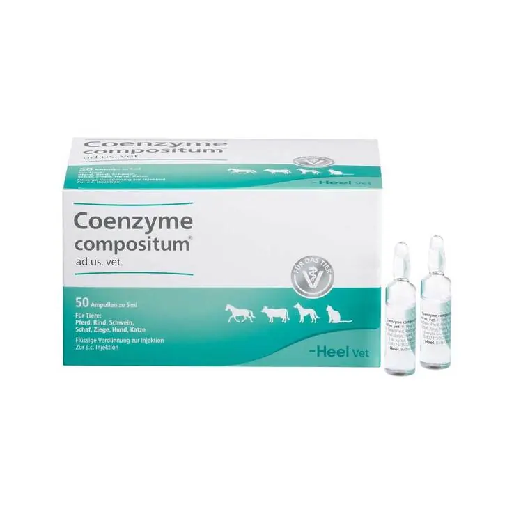 Coenzyme compositum® ad us. vet. Ampullen, 50X5 ml