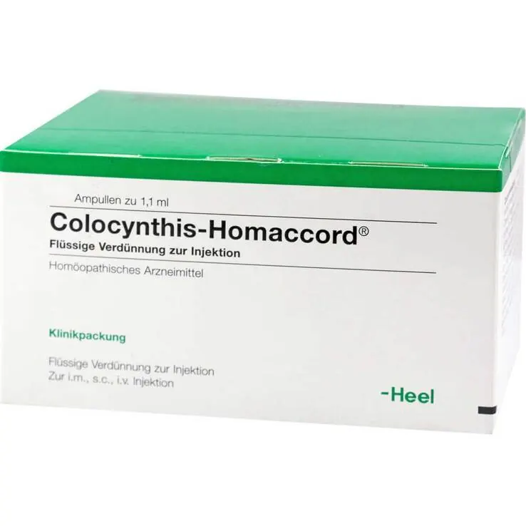 Colocynthis Homaccord Ampullen, 100 St