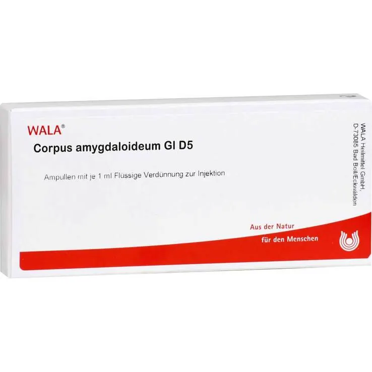 Corpus Amygdaloideum GL D 5 Ampullen, 10X1 ml