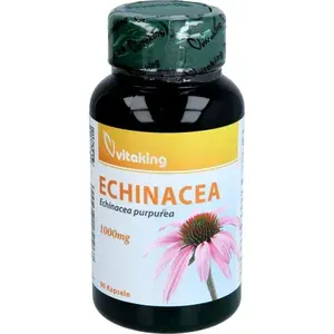 ECHINACEA1000mgKapseln90Stück