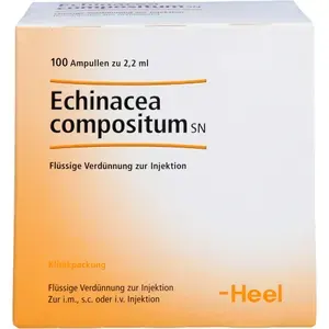 ECHINACEACOMPOSITUMSNAmpullen100St