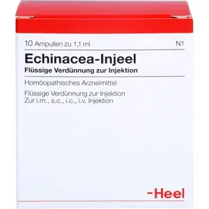 ECHINACEAINJEELAmpullen10St