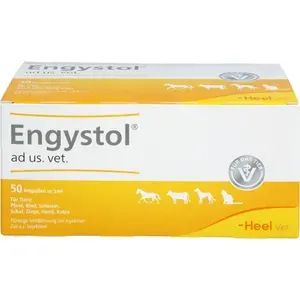 ENGYSTOLadus.vet.Ampullen50St