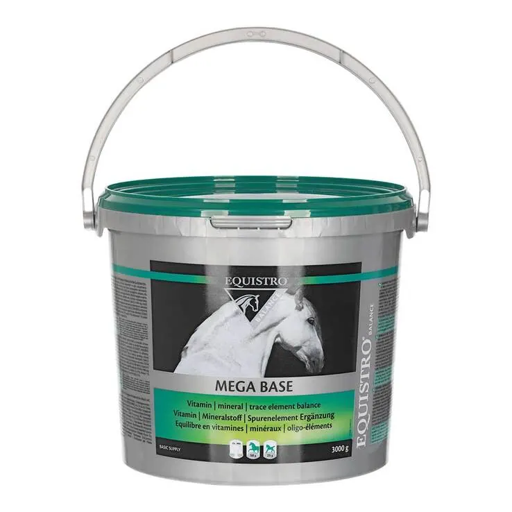 Equistro Mega Base Erg.Futterm.Pulver für Pferde, 3 kg