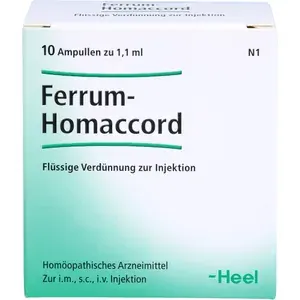 FERRUMHOMACCORDAmpullen10St