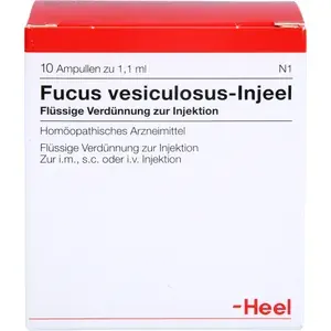 FUCUSVESICULOSUSINJEELAmpullen10St