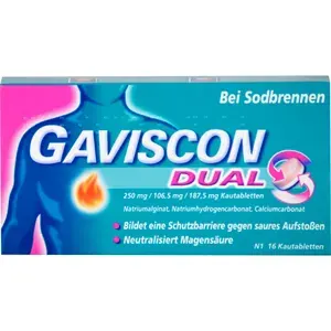 GAVISCONDual250mg/106,5mg/187,5mgKautabletten16St