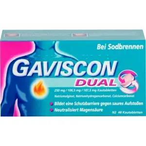 GAVISCONDual250mg/106,5mg/187,5mgKautabletten48St