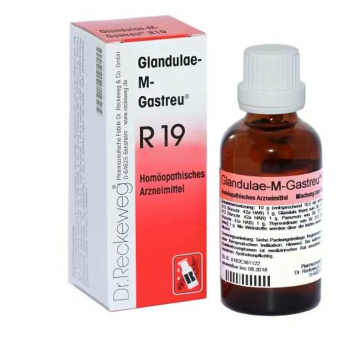 Glandulae M Gastreu R 19 Tropfen zum Einnehmen, 50 ml