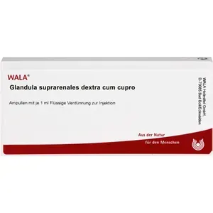 GLANDULASUPRARENALESdextracumCuproAmpullen10X1ml