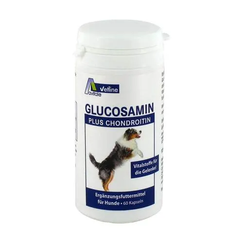Glucosamin + Chondroitin Kapseln für Hunde, 60 St