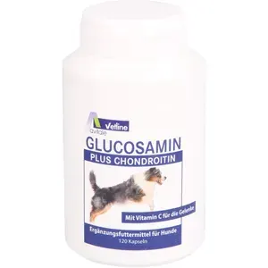 GLUCOSAMIN+CHONDROITINKapselnf.Hunde120Stück