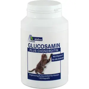GLUCOSAMIN+CHONDROITINKapselnf.Katzen120St