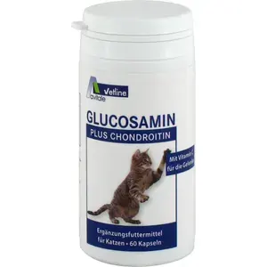 GLUCOSAMIN+CHONDROITINKapselnf.Katzen60St