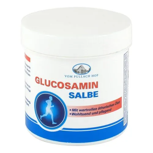 GLUCOSAMIN SALBE, 250 ml