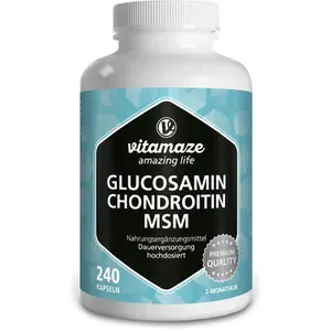 GLUCOSAMINCHONDROITINMSMVitaminCKapseln240Stück