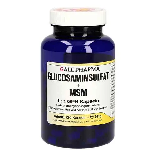 Glucosaminsulfat + Msm 1:1 Gph Kapseln, 120 St