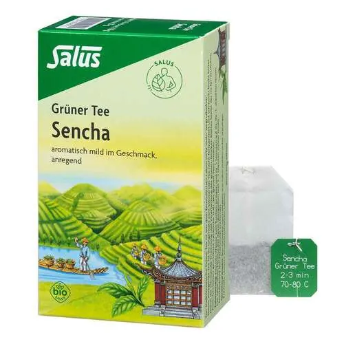 Grüner Tee Bio Salus Filterbeutel, 15 St