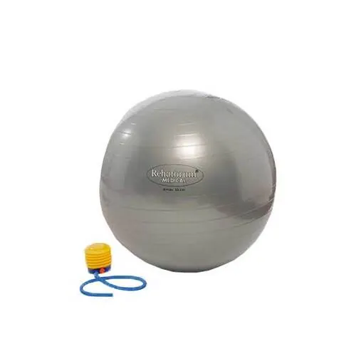 GYMNASTIKBALL Rehaforum 75 cm silber metallic, 1 St