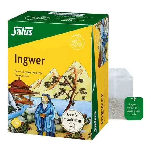 Ingwer Kräuter-Gewürztee-Mischung Bio Salus Fbeutel , 40 St