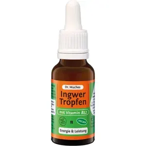 INGWERTROPFEN+VitaminB12Dr.Muches20ml