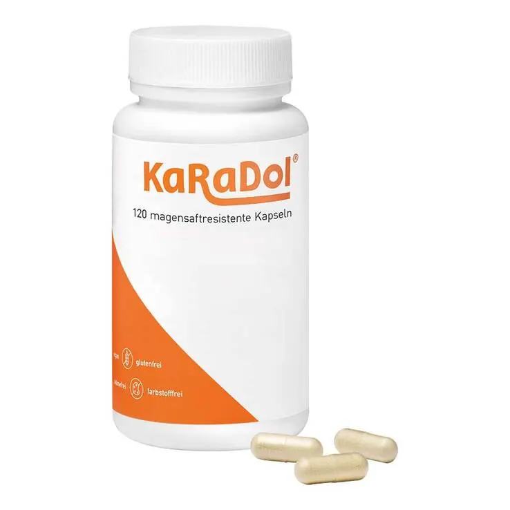 Karadol magensaftresistente Kapseln, 120 St