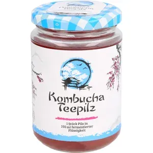 KOMBUCHATEEPILZ1Stück