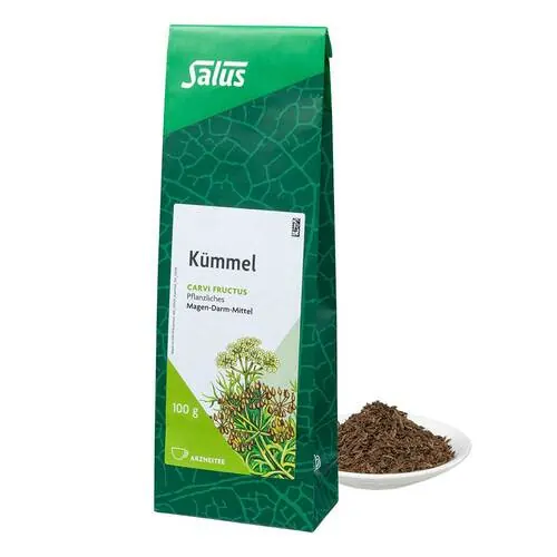 Kümmel Arzneitee Carvi fructus Bio Salus, 100 g